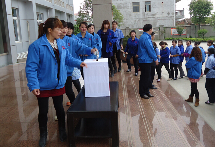 米兰MILAN(中国)集团分公司员工为芦山捐款