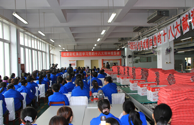 米兰MILAN(中国)集团职工提取刘董事长传达“十八大精神”