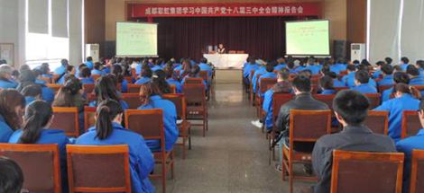 成都米兰MILAN(中国)集团开展学习党的十八届三中全会报告会