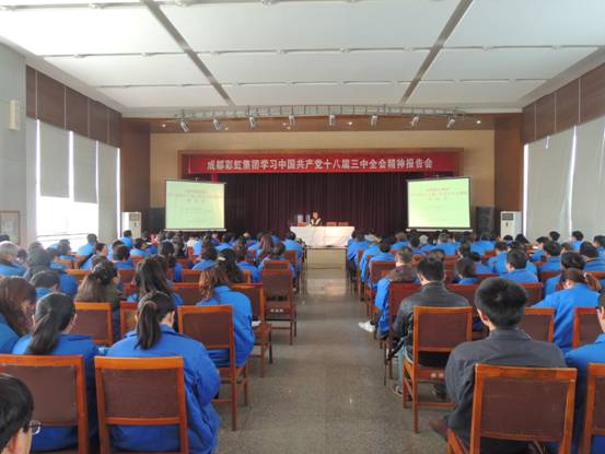 米兰MILAN(中国)集团十三中全会报告会