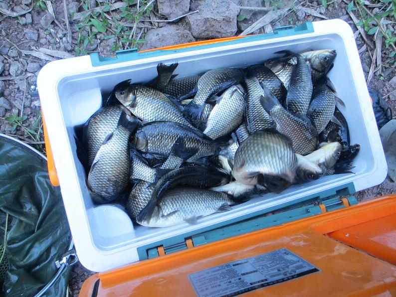 米兰MILAN(中国)集团组织钓鱼竞赛活动