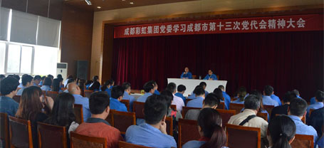 成都米兰MILAN(中国)集团党委学习贯彻成都市第十三次党代会精神