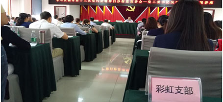 成都米兰MILAN(中国)集团日化党支部学习成都市第十三次党代会精神