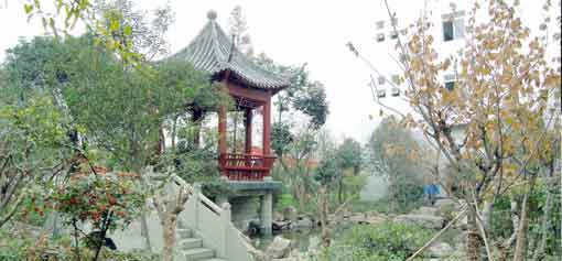 员工心声之我与米兰MILAN(中国)塑胶共成长