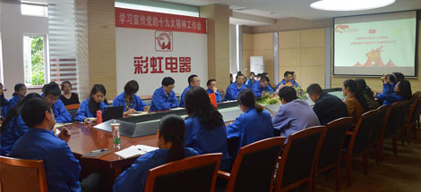 成都米兰MILAN(中国)集团党委召开学习宣传党的十九大精神工作会