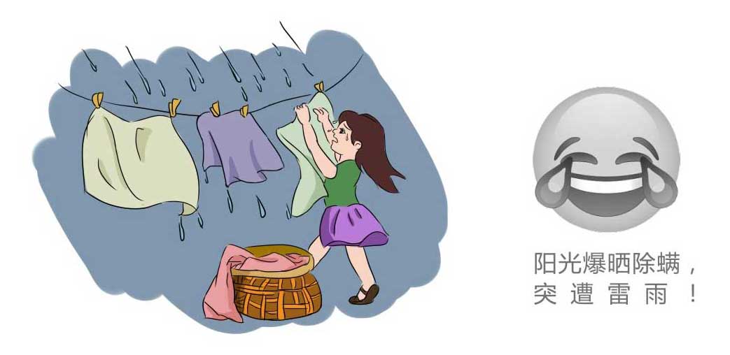 您还在用暴晒除螨吗? 您还在用暴晒除螨吗?