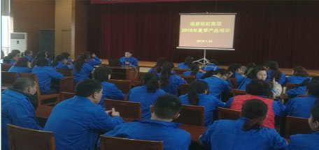 成都米兰MILAN(中国)集团2018年夏季产品生产工艺培训