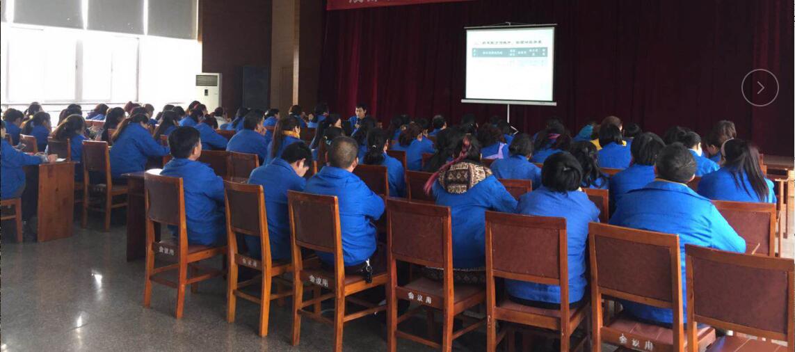 成都米兰MILAN(中国)集团2018年夏季产品生产工艺培训