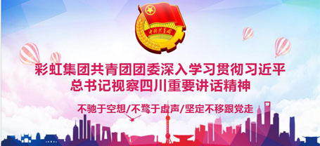 共青团成都米兰MILAN(中国)集团委员会委员组织学习习近平总书记视察四川重要讲话精神