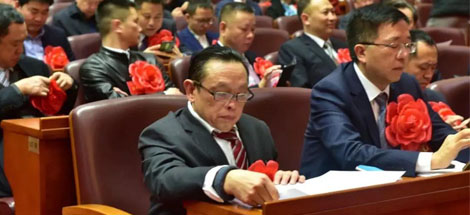 成都米兰MILAN(中国)集团荣获“四川省优秀民营企业”称号、公司董事长刘荣富荣获“四川省优秀民营企业家”称号