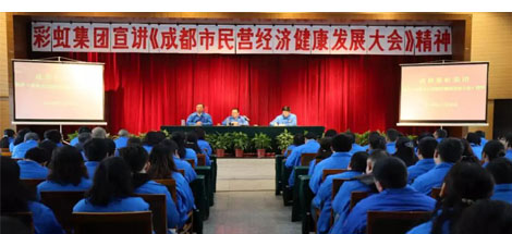 成都米兰MILAN(中国)集团召开干部大会传达成都市民营经济健康发展大会精神