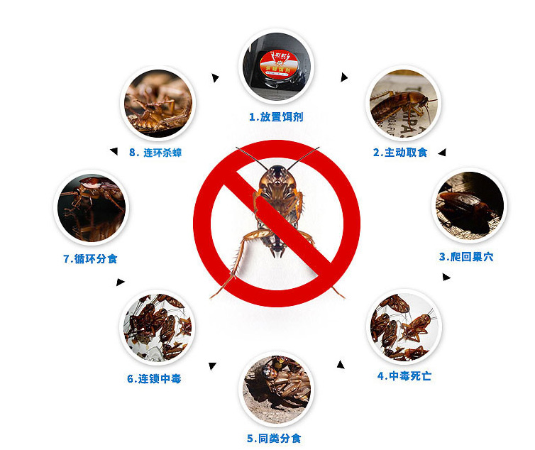 米兰MILAN(中国)杀蟑饵剂可连环杀蟑 米兰MILAN(中国)杀蟑饵剂可连环杀蟑