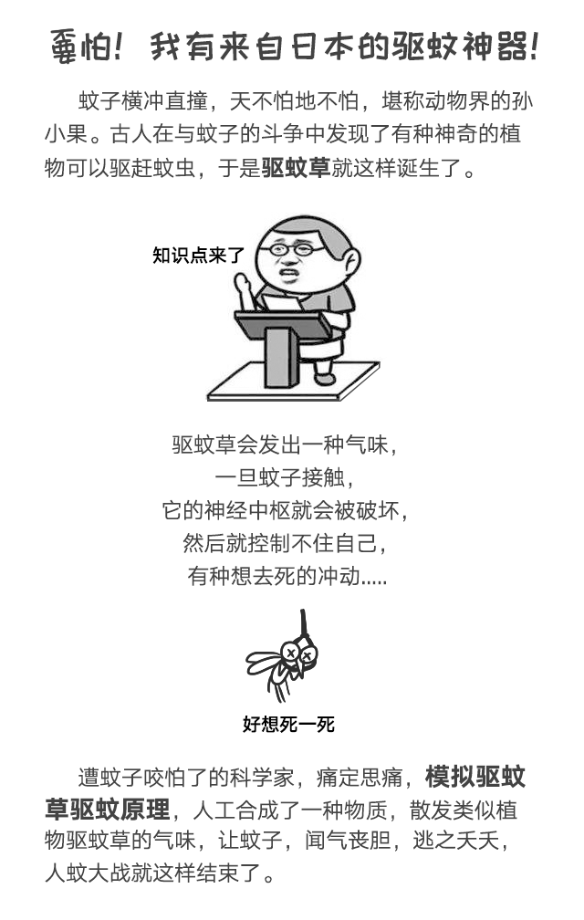 米兰MILAN(中国)防蚊网不惧日晒与风雨