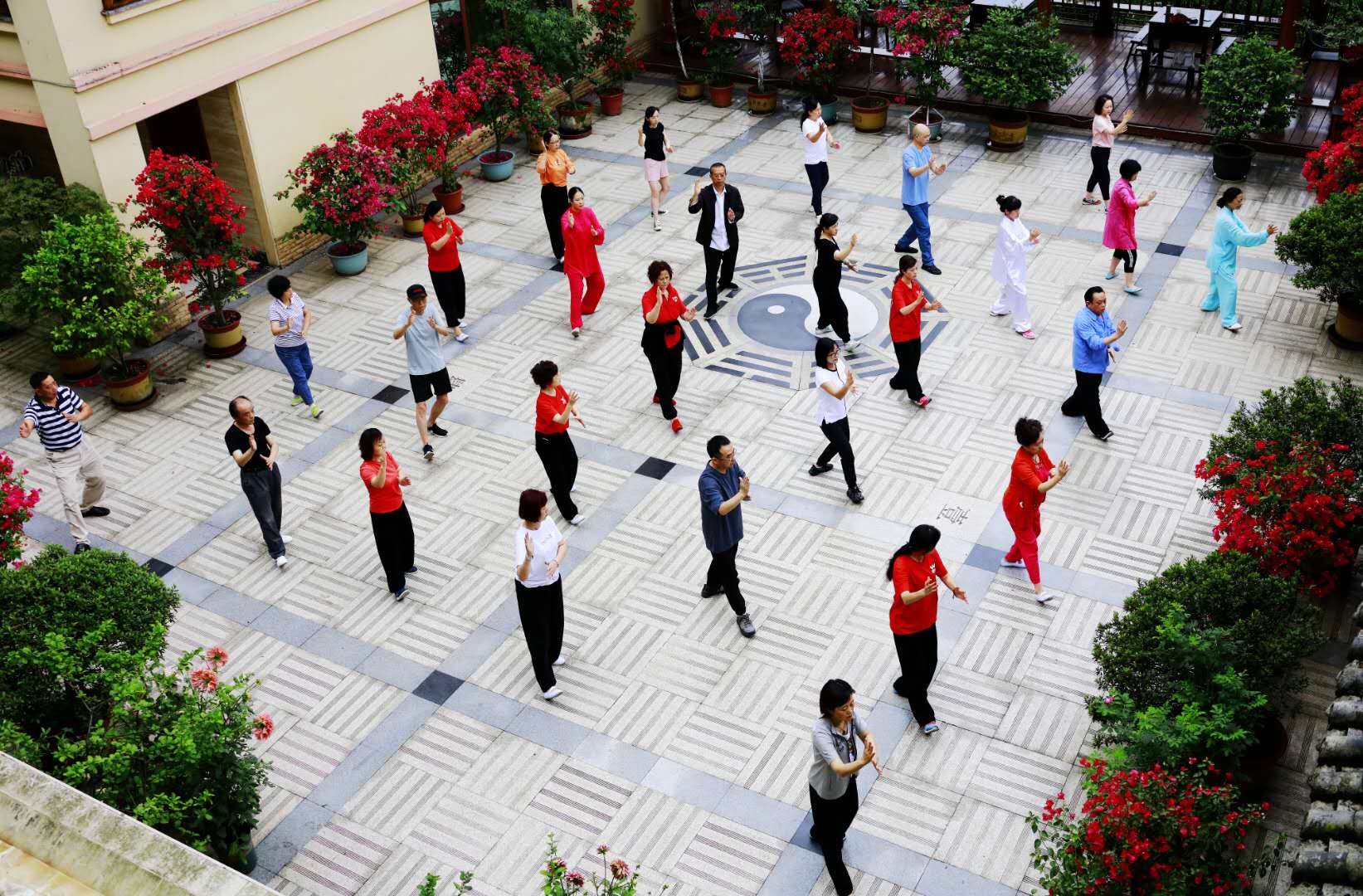 成都米兰MILAN(中国)集团太极拳协会活动