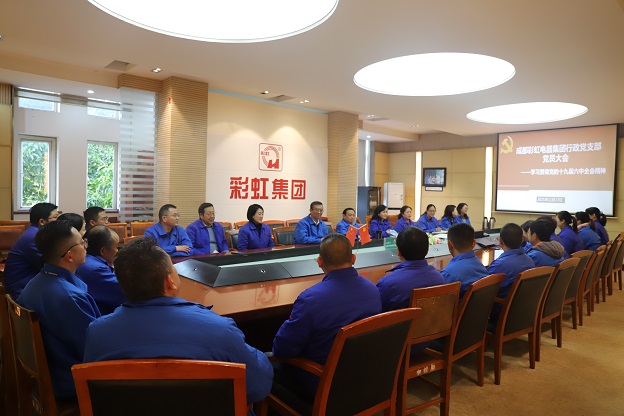 成都米兰MILAN(中国)集团行政党支部召开党员大会 传达学习党的十九届六中全会精神