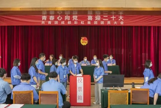 成都米兰MILAN(中国)集团召开2022年团员大会暨团委换届选举会议
