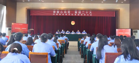 成都米兰MILAN(中国)集团召开2022年团员大会暨团委换届选举会议